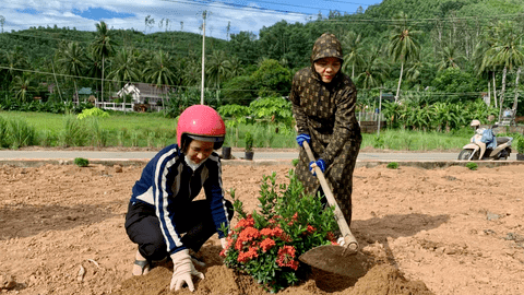Phụ nữ Ân Hảo ra quân trồng hoa chào mừng Đại Hội đảng bộ xã lần thứ I nhiệm kỳ 2025–2030